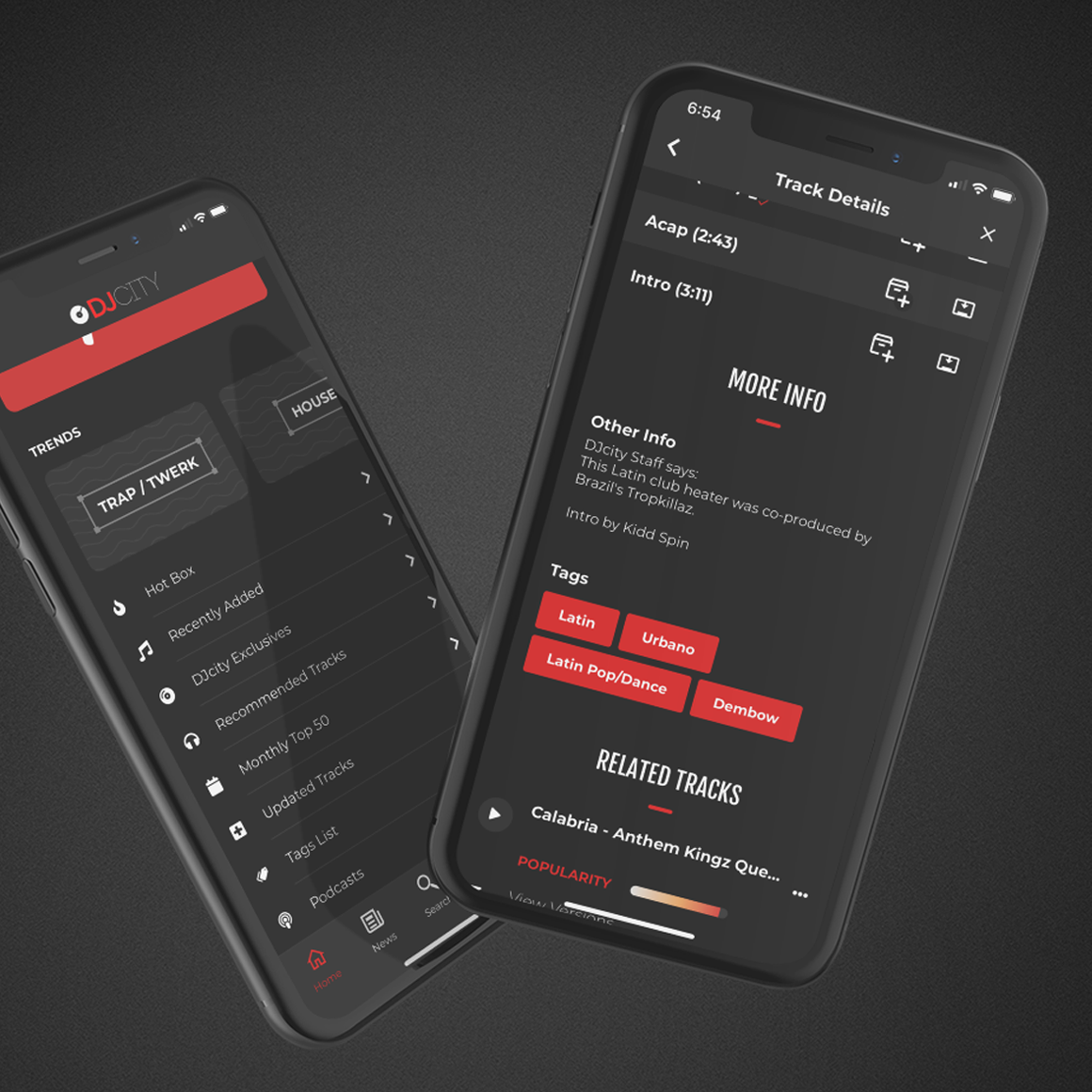 Mobile App Phone.png